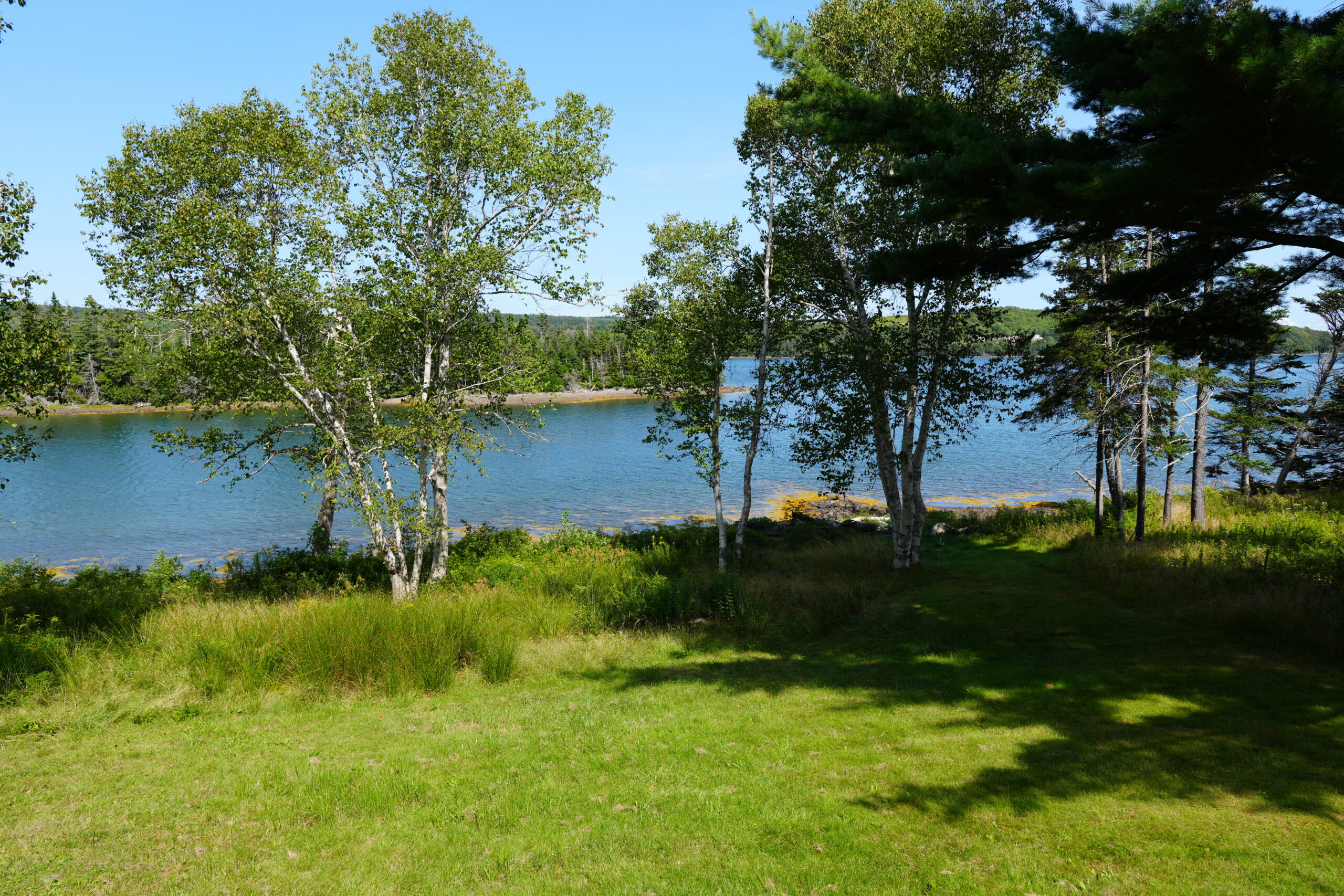 Exterior Lawn with Ocean Views - Mussel Cove Cottage