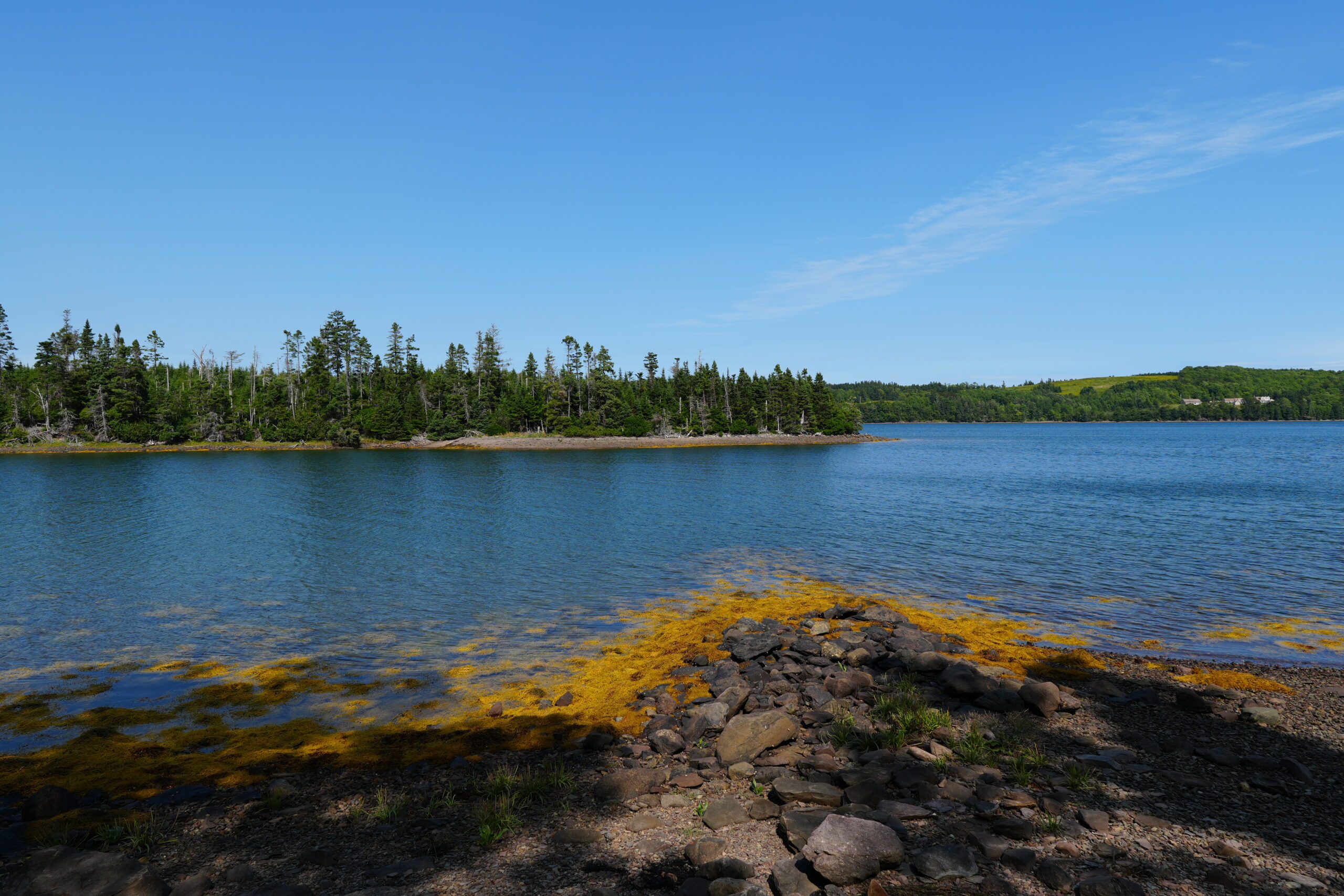 Private Ocean View of Mussel Cove - Mussel Cove Cottage